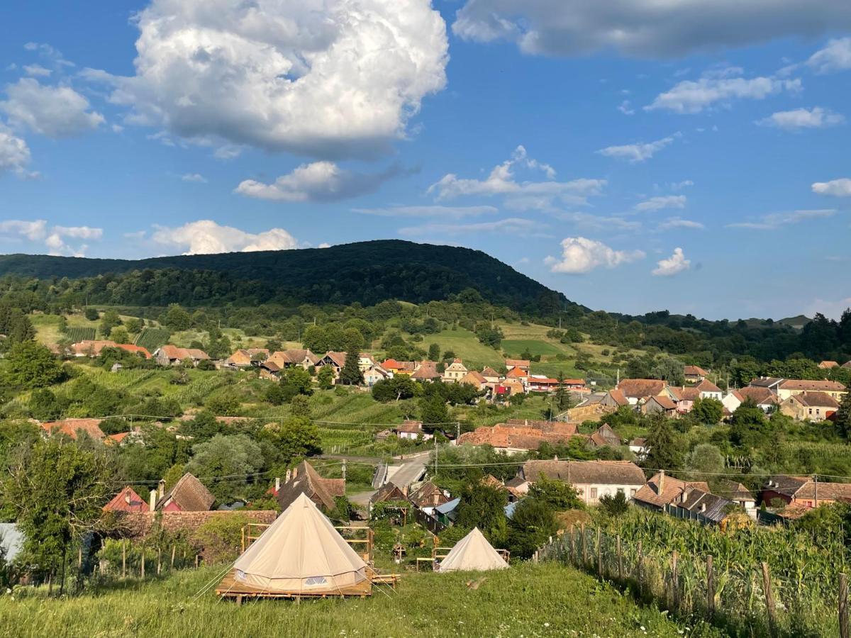 Saschiz 130/Lodging And Glamping Extérieur photo